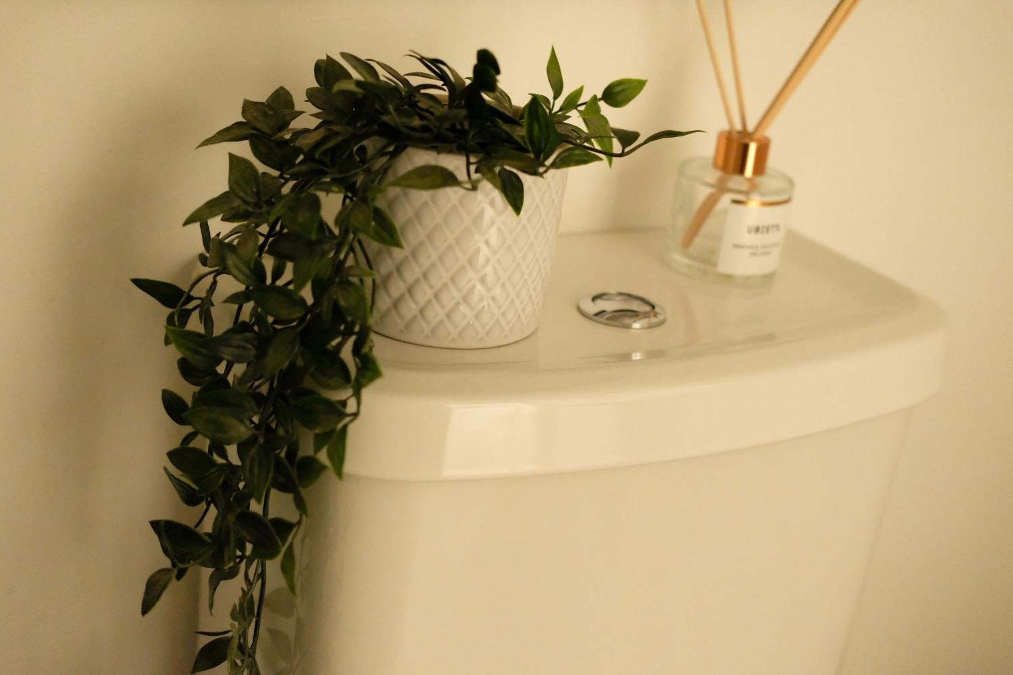 Spacious City Centre Apartment Bath Exterior foto